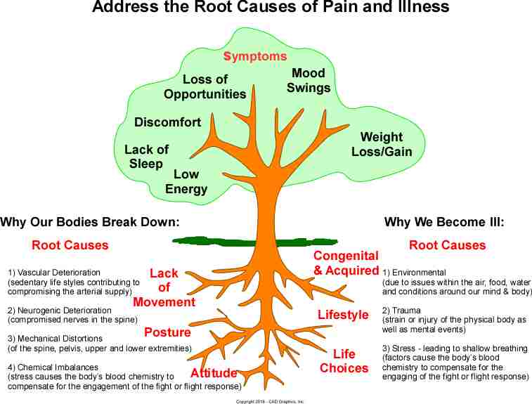 Root Causes of Pain & Illness.jpg
