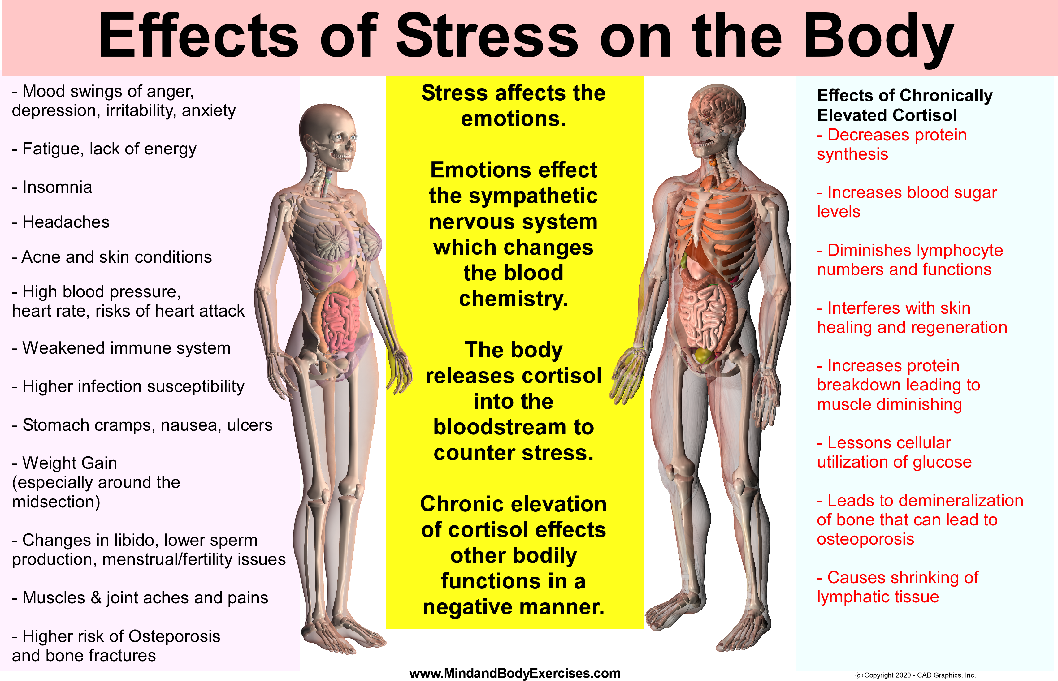 Cortisol Side Effects