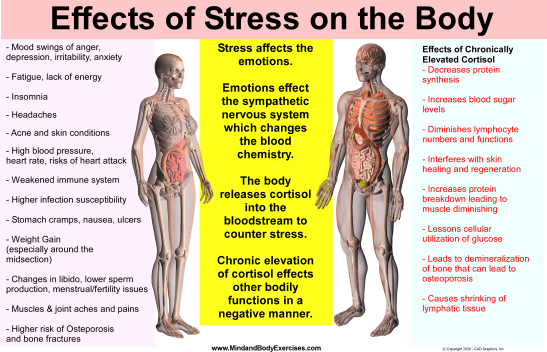 Cortisol Side Effects