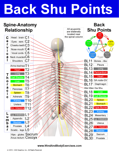 Back-Shu Points-simple
