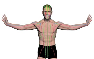 standing chi kung #1e.jpg