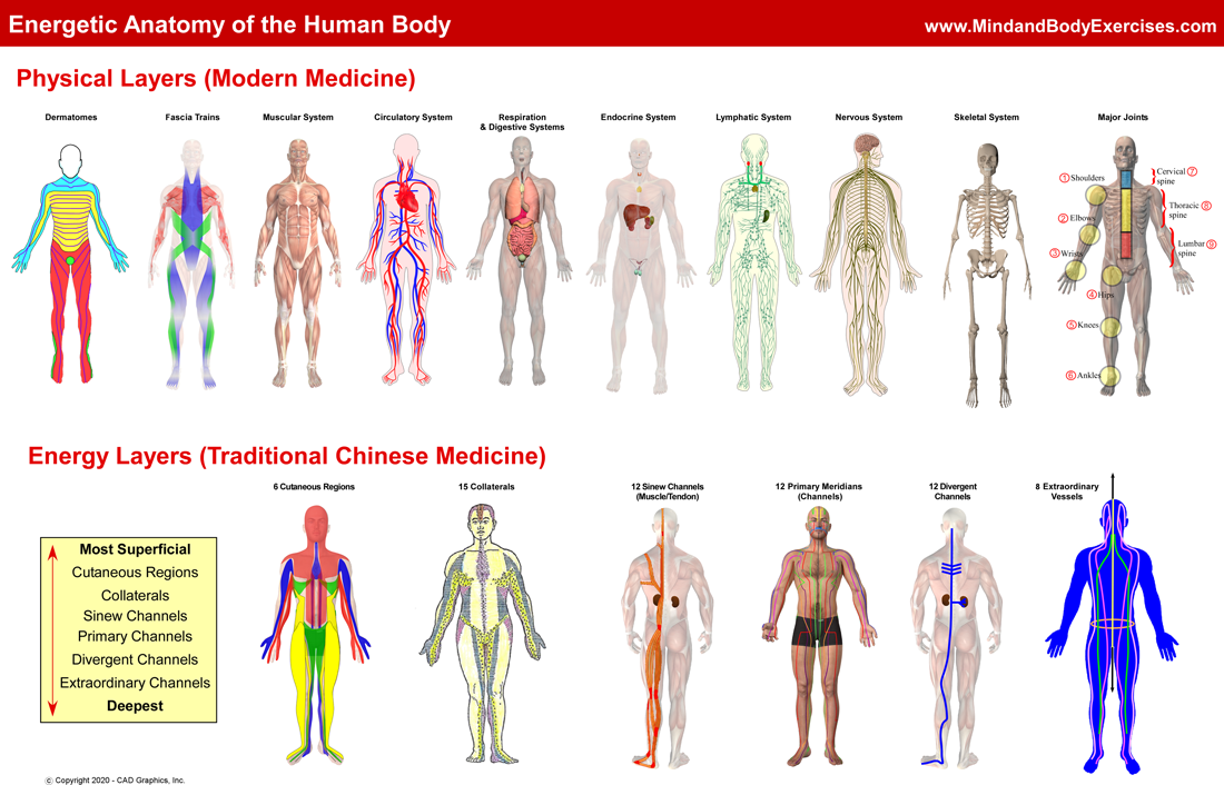 Energetic Anatomy-summary graphic copy