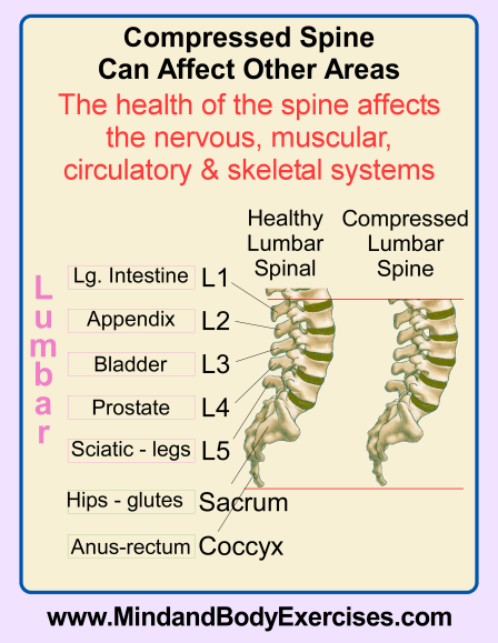 Compressed spine