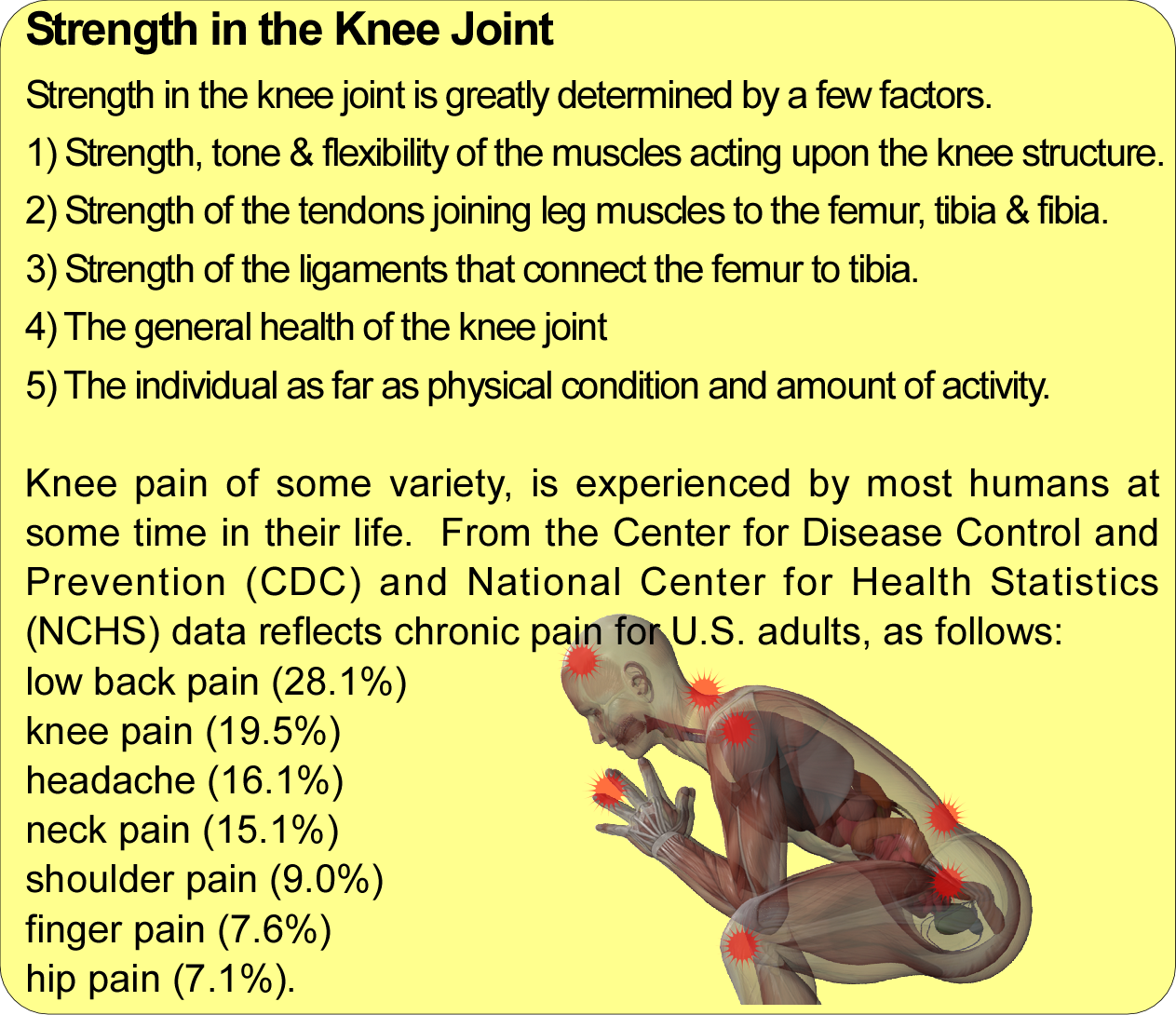 Strength of the knee joint