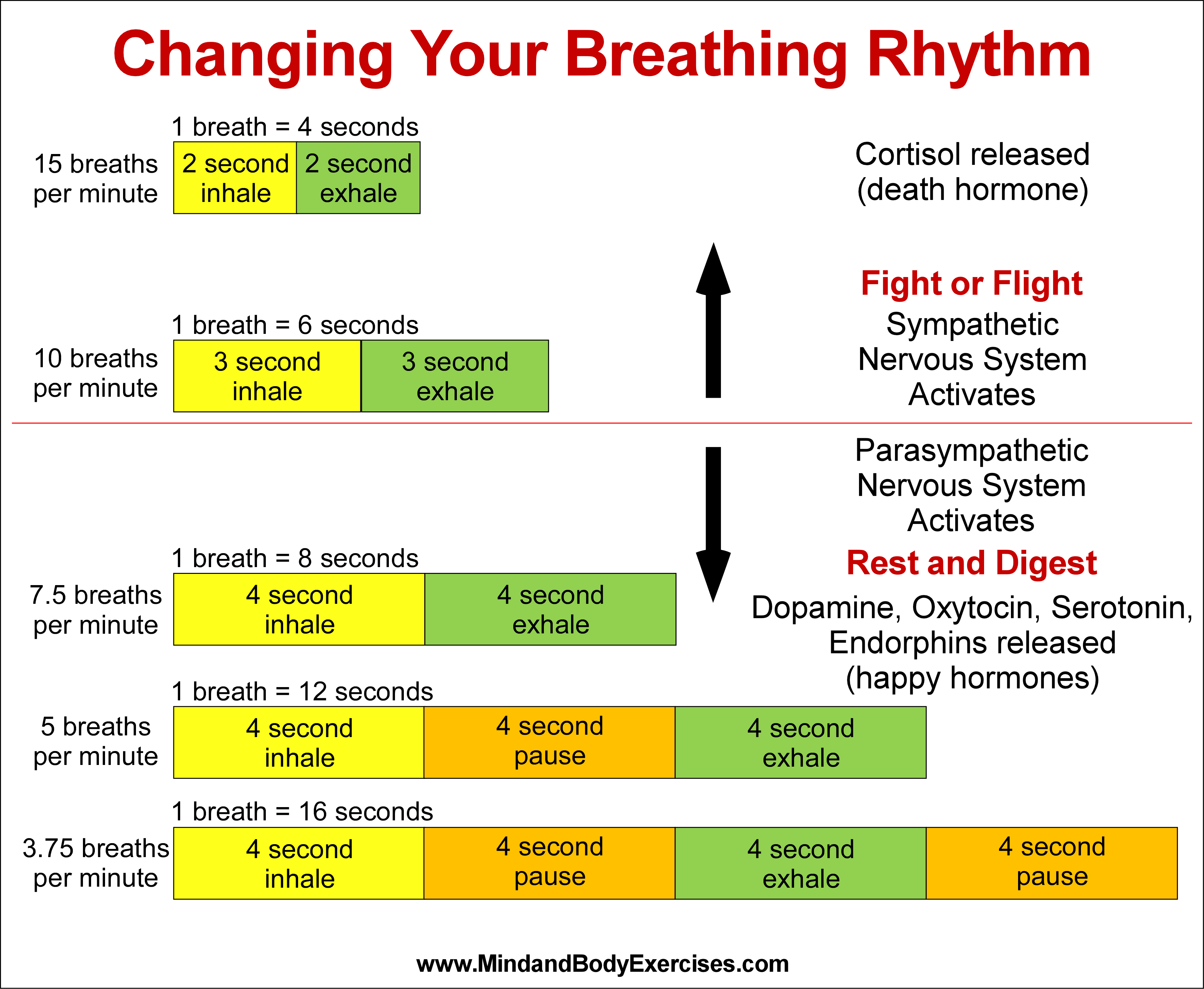 Changing Your Breathing Rhythm