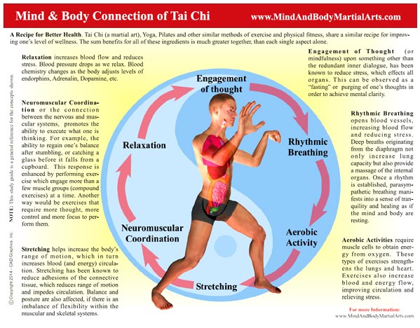 Mind &amp; Body Connection of Tai Chi (page1)