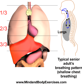 Shallow breathing graphic