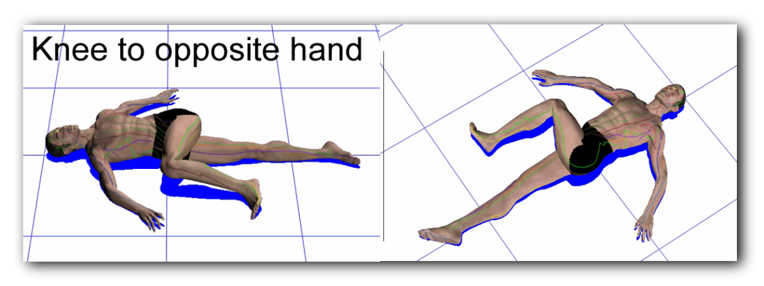 Knee to opposite hand