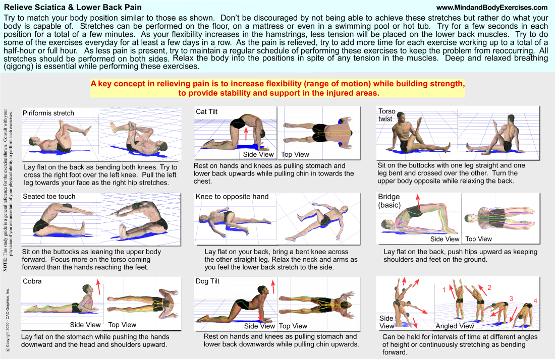 sciatic anatomy page2