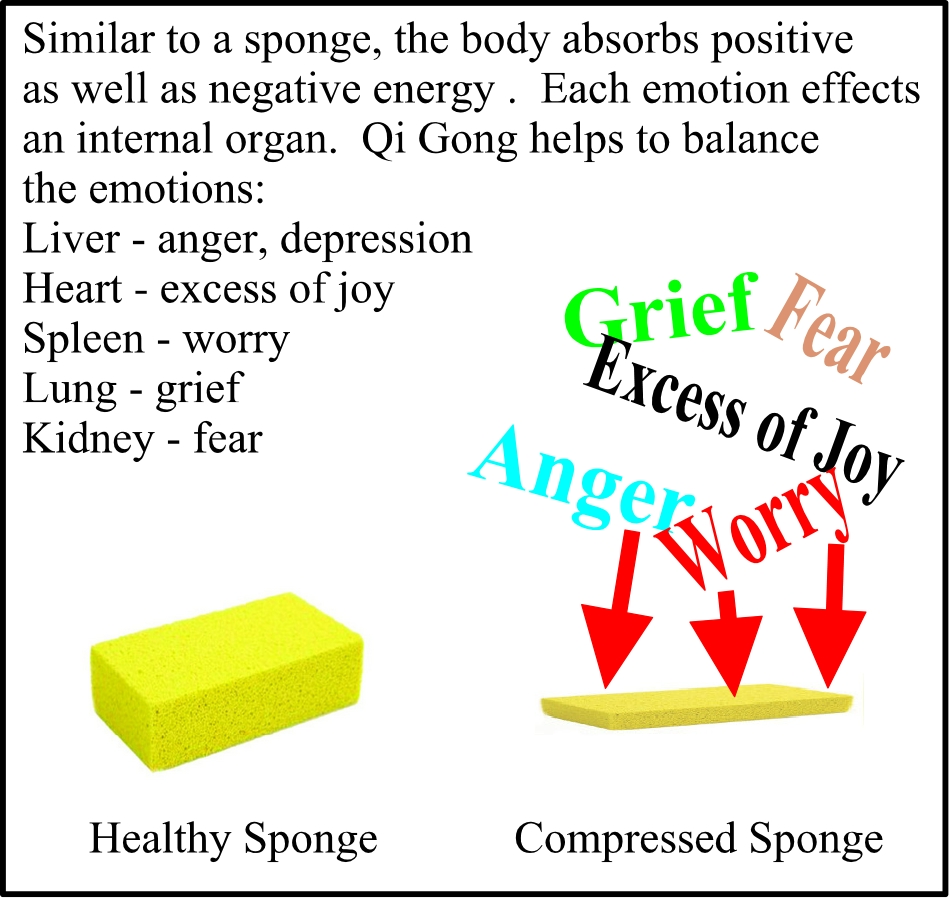 Sponge graphic.jpg
