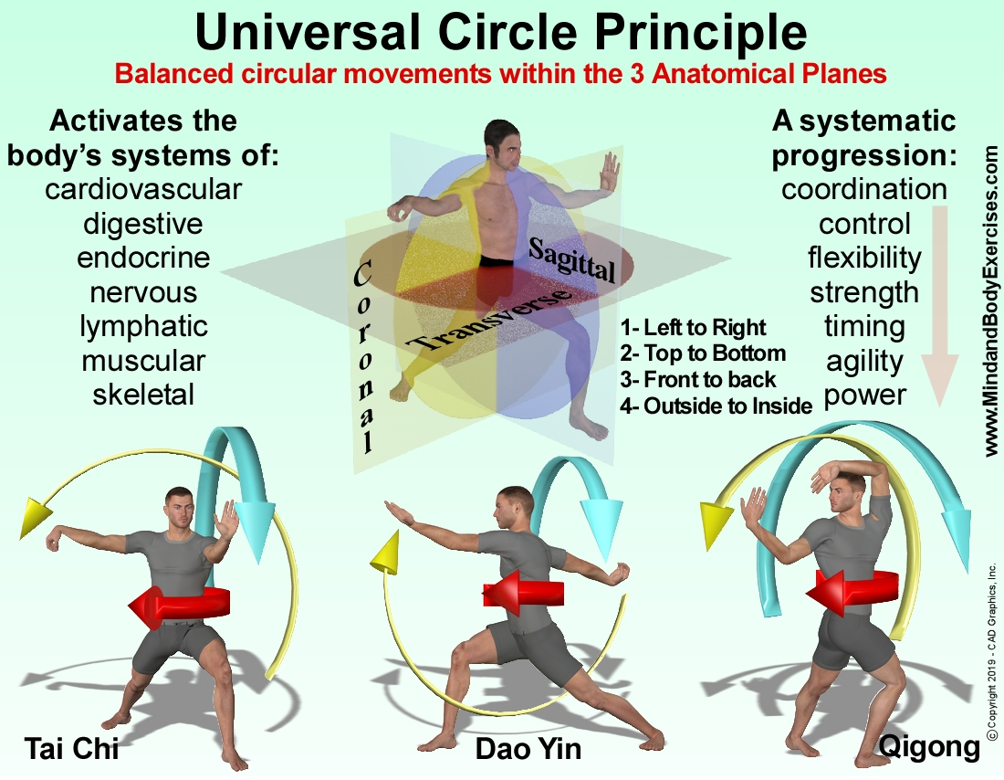 Universal Circle Principle with examples.jpg