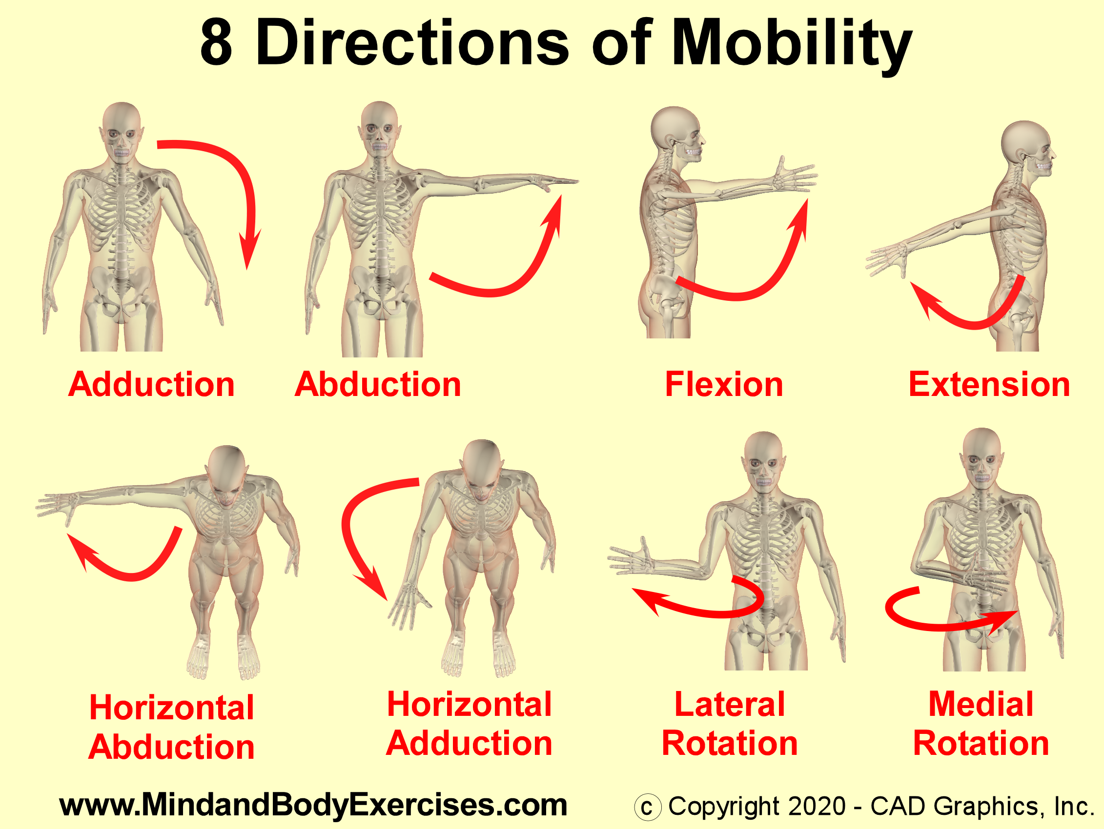 8 Directions of mobility