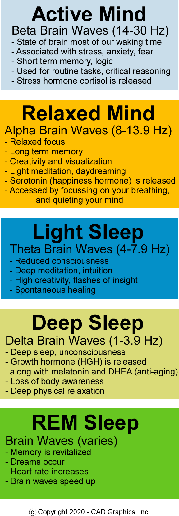 Brain Wave graphic