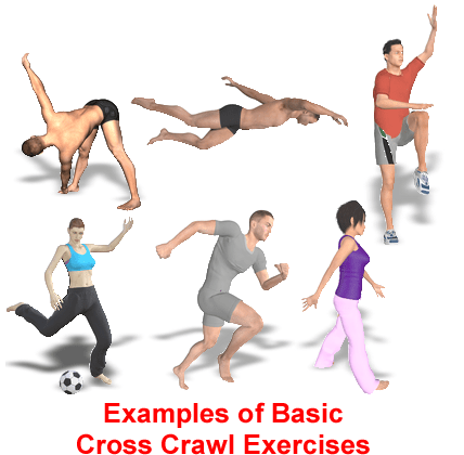 examples of cross crawl