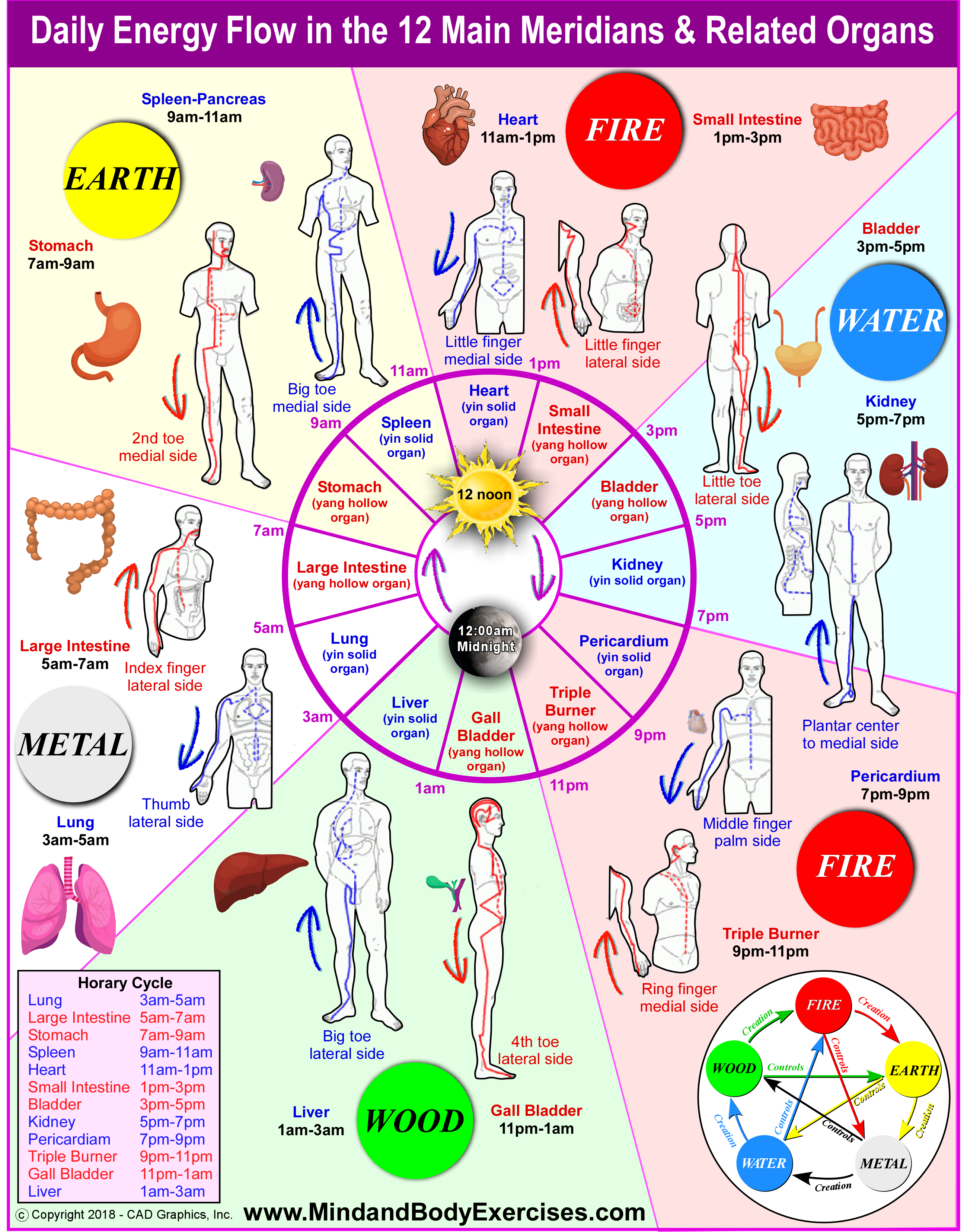 Daily Energy FLow-Meridians