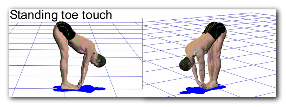 Standing Toe Touch