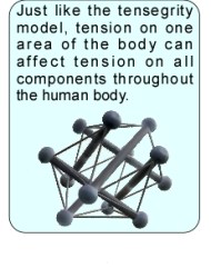 Tensegrity model.jpg