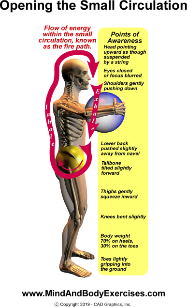 Small circulation #1