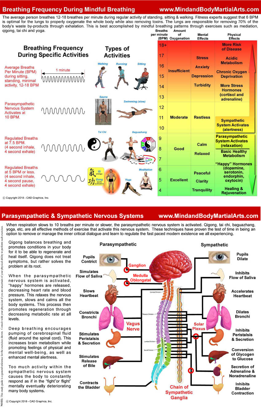 Breathing Frequency During Mindful Breathing-2up.jpg