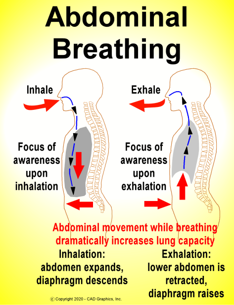 Abdominal Breathing graphic