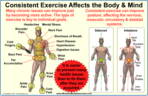 Consistent Exercise Affects the Body &amp; Mind