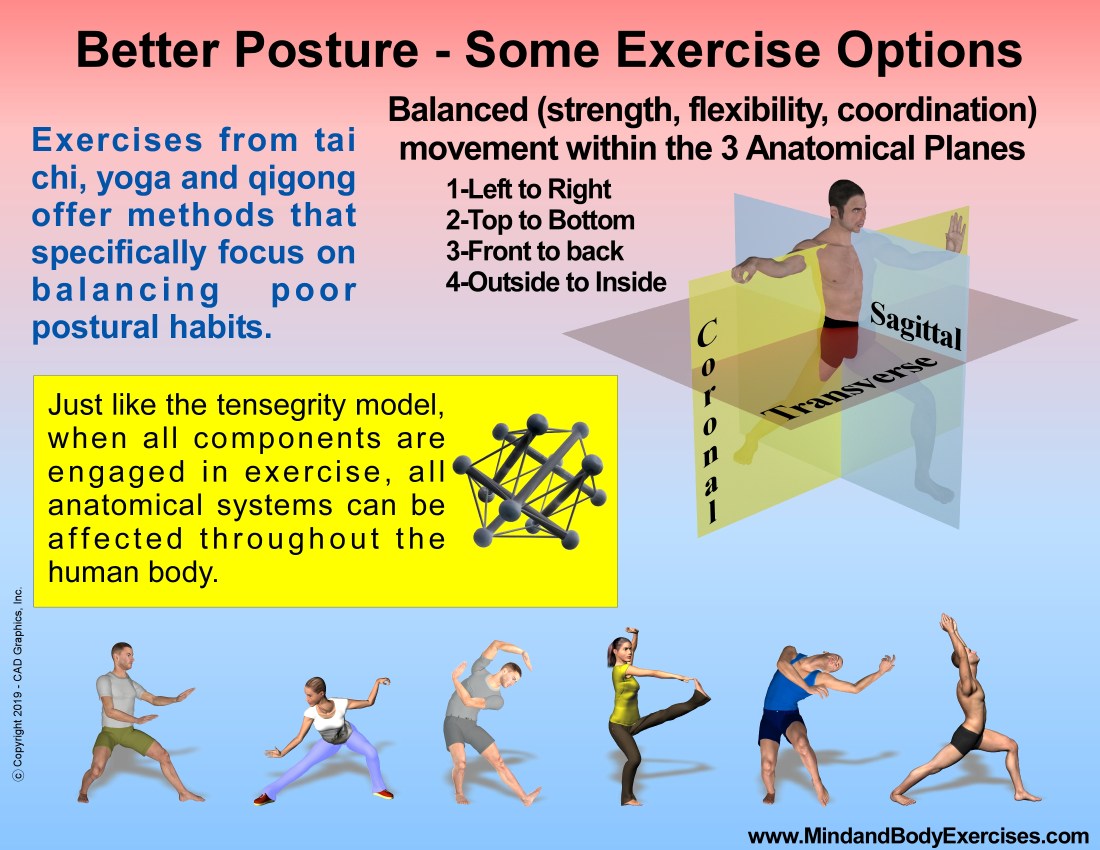 Poor Posture &amp; methods to Counterbalance-slide3