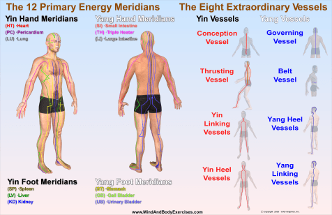 Primary Energy Meridians &amp; 8 Vessels2